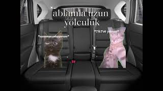 Cat Meme Türkçe-Uzun Yolculuk