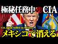 波紋を呼ぶ逮捕作戦…CIA捜査官に何が起きたのか