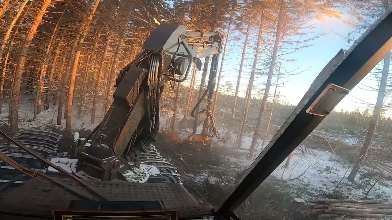 Perjantai special Ponsse Fox H6 Canada - Falcon 9 - HEJOGLASSES