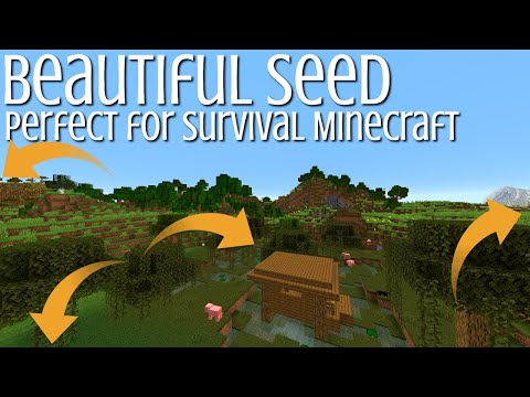 Best Minecraft Seeds: