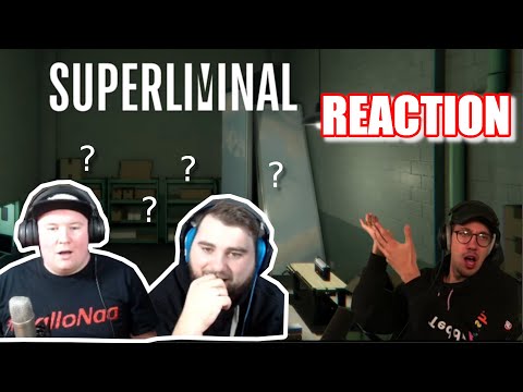 Die komplette Verwirrung ist Perfekt🤪😂 | HandofBlood | Nichts ist real | Superliminal reaction