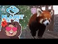 Bouncy Berry RED PANDA Babies!! 🐏 Planet Zoo: Ice Ice Outpost • #43