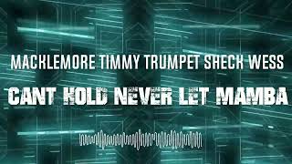Timmy Trumpet & Macklemore & Check Wes - Can't Hold Never Let Mamba ( Dj Marry Mashup Remix )