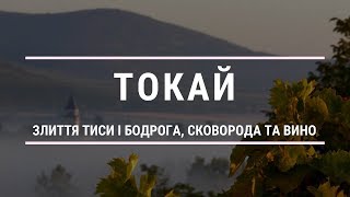 Токай - подорож човном по Тисі, екскурсія по місту та винні підвали