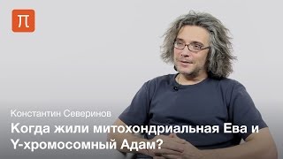 Северинов Константин - Митохондриальная Ева