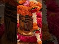 The Soul of Kashi: Unveiling the Ancient Kashi Vishwanath Temple (2025) ✨