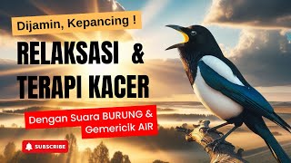 Relaxation Therapy With Kacer Birds | Soothing Water Sounds And Bird Chirps