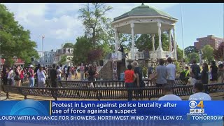 Rally In Lynn Protests Police Brutality