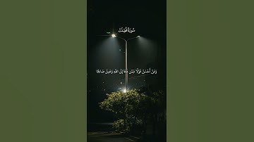 #راحة_نفسية #ارح_قلبك #تلاوة_خاشعة #ماهر_المعيقلي #quran
