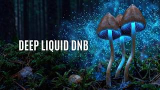 Deep Liquid Drum and Bass for Late Night Focus and Long Study Sessions