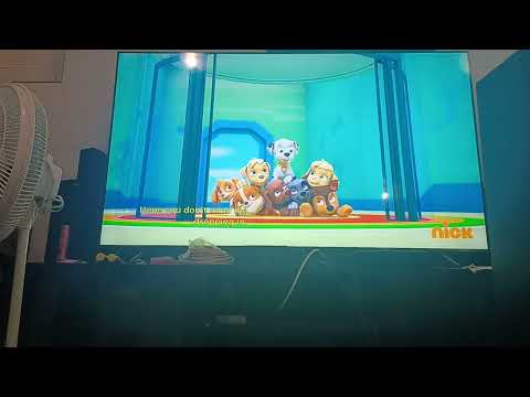 Paw Patrol Crash part 1,557 feat. Ella and Tuck (Mighty Pups Returned)
