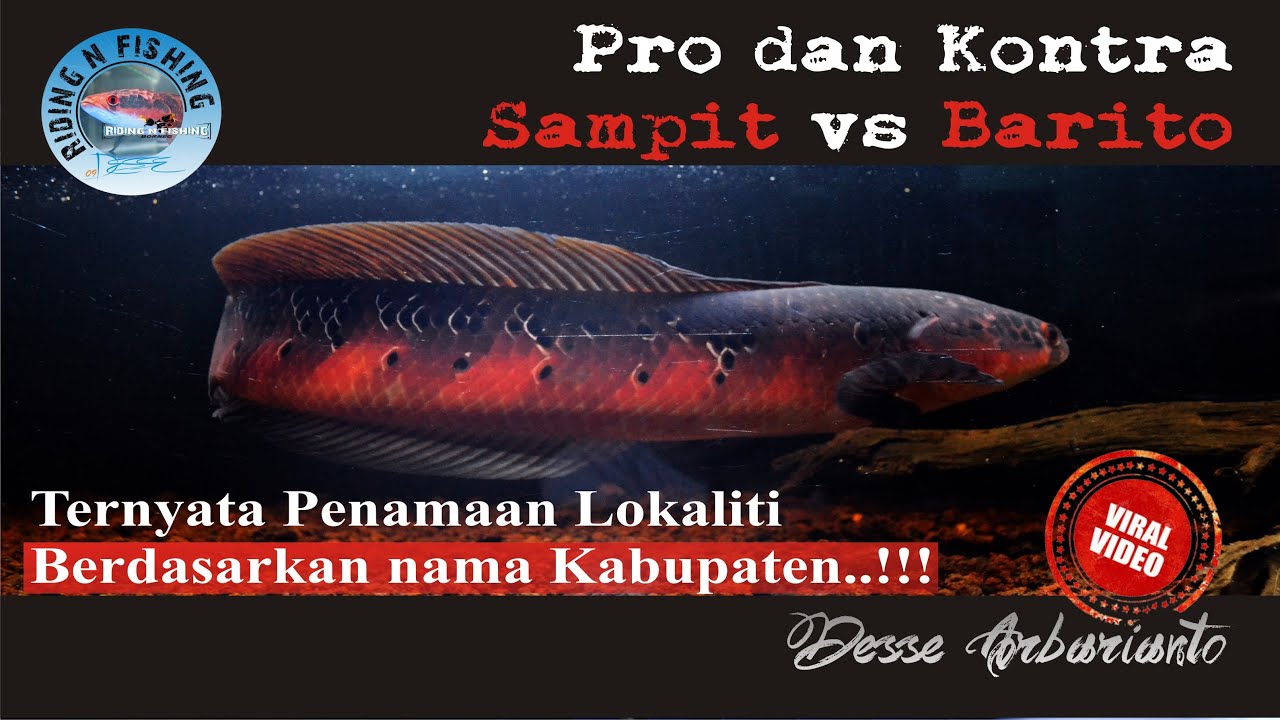 Pro dan Kontra Sampit dan Barito