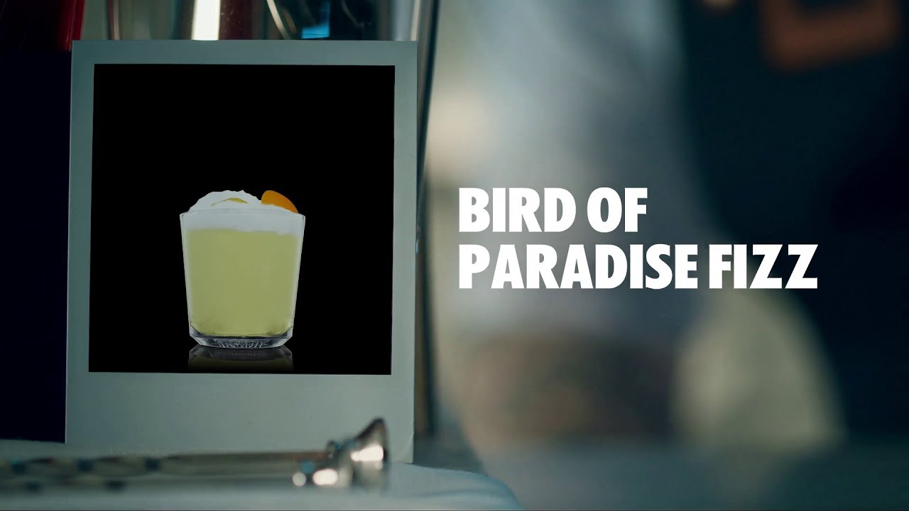 BIRD OF PARADISE FIZZ DRINK RECIPE HOW TO MIX YouTube
