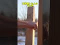 あなたのパンチを見せて！#shorts #雑学 #おもしろい #暇つぶし