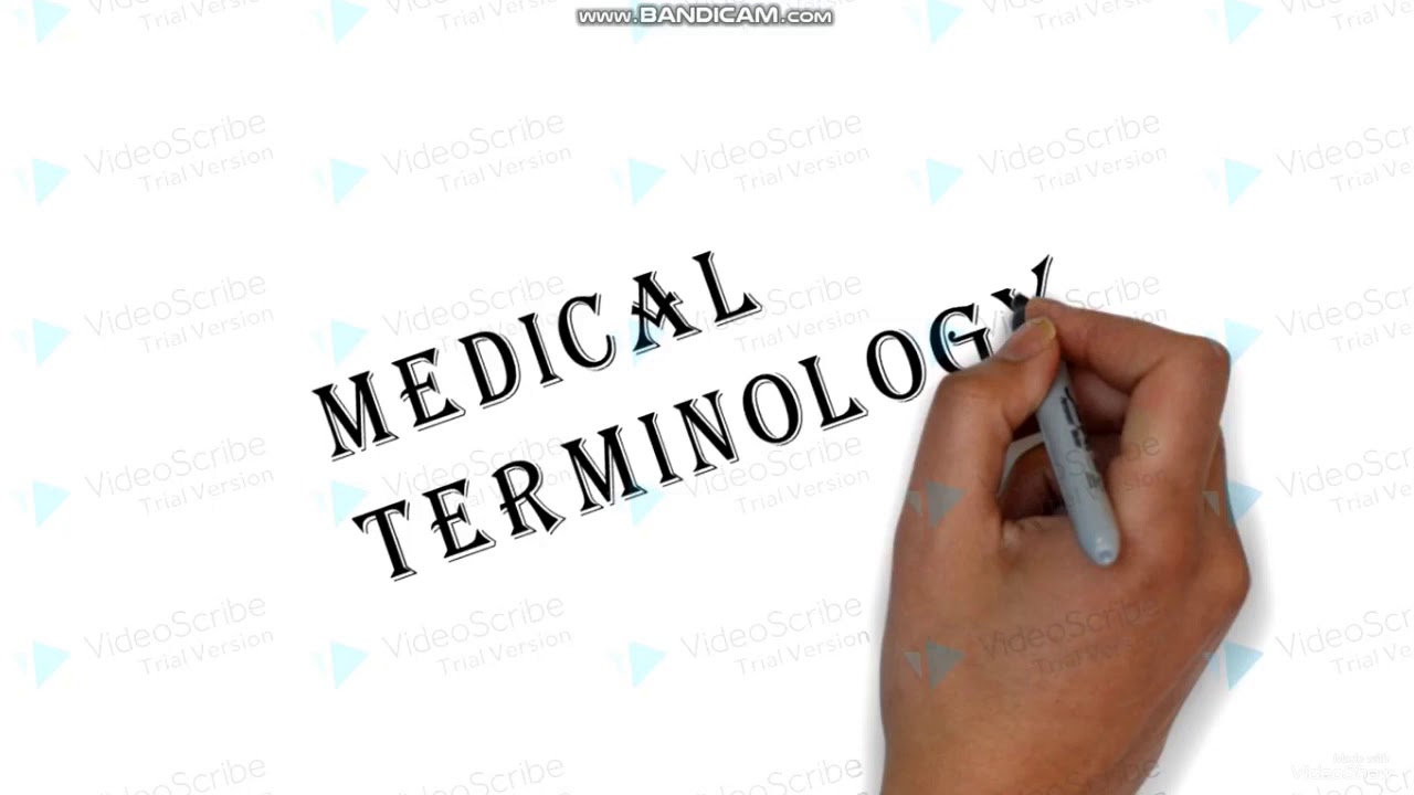 Basic Medical Terminology medical word structure اساسيات المصطلحات