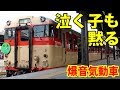 【急行復活】伝説の爆音気動車 キハ66系が日田彦山線で復活！ 11/2-01