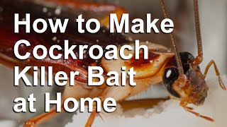 Homemade Cockroach Killer Bait