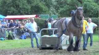 Trekwedstrijd Alden Biesen 2012 Stefan Creemers Kampioen Van Belgie Met Narco