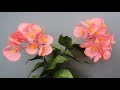 ABC TV | How To Make Dragon Wing Begonia Paper Flower From Crepe Paper - Craft Tutorial