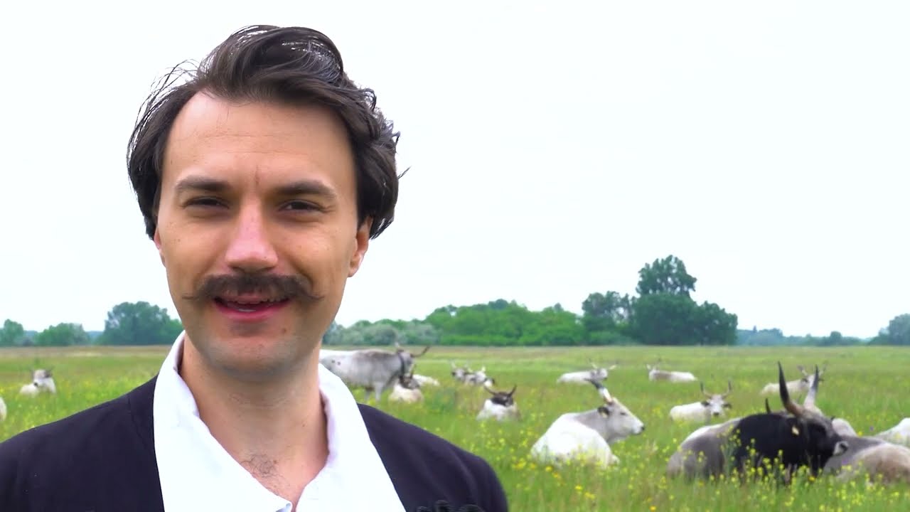 Petőfi 200 - Petőfi Sándor: Szülőföldemen