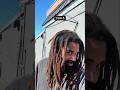 Traditional freeform locs journey #locs #dreads #freeformlocs #traditional