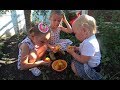 Волшебное Дерево Дети пробуют нектарин и абрикос / Видео для детей | Лера Liliput