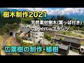 【鉄道模型】天然素材樹木（葉っぱ付き）を使って広葉樹を作る【樹木制作2021】