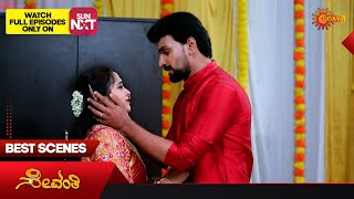 Celebrity Sevanthi - Best Scenes | 05 Nov 2025 | Kannada Serial | Udaya TV Profile
