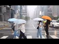 Beautiful Seoul Heavy Rain Walk Makes Your Day Peaceful | Relaxing ASMR