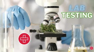 Famous What is Third Party, Full Panel Lab Testing? Wealth