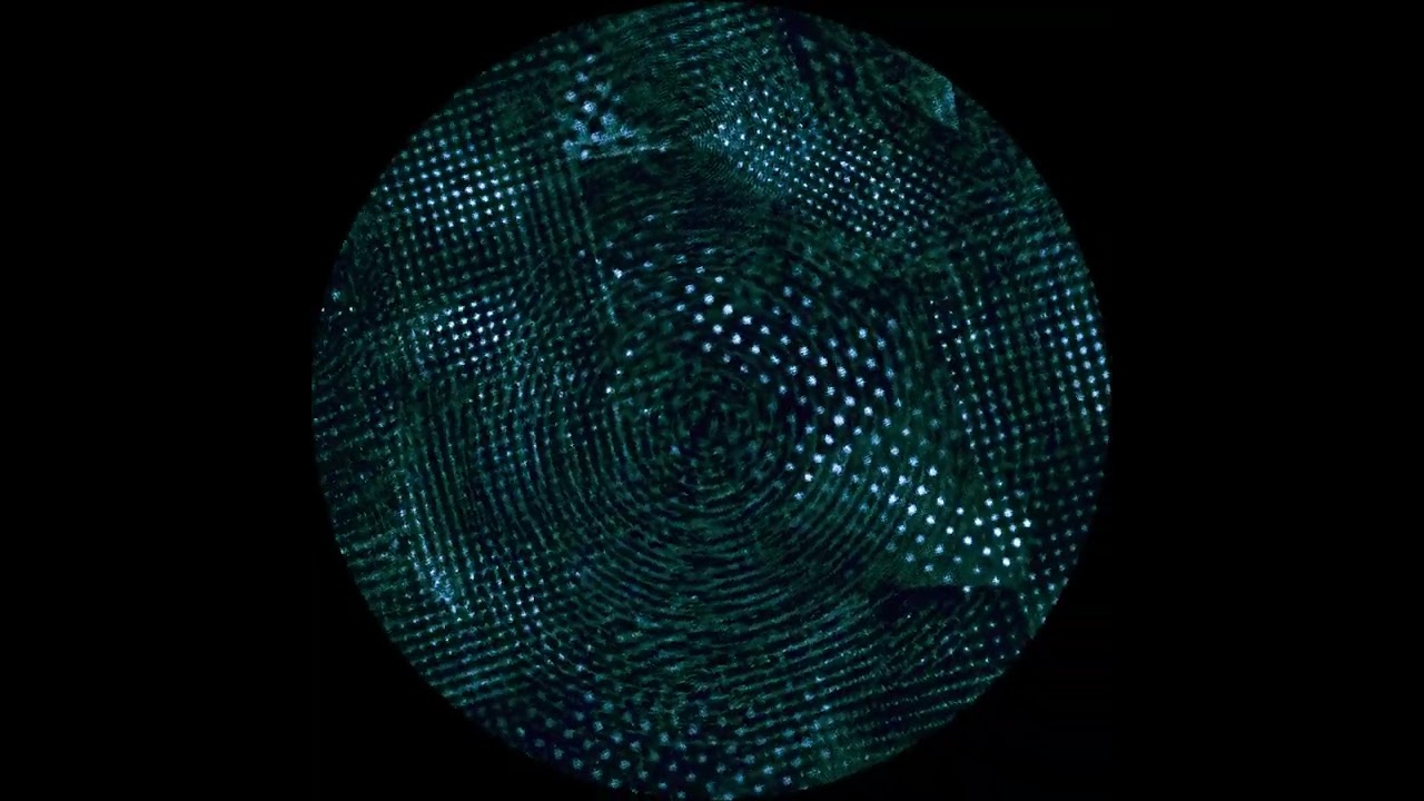 Flu - Satoshi Iwashita