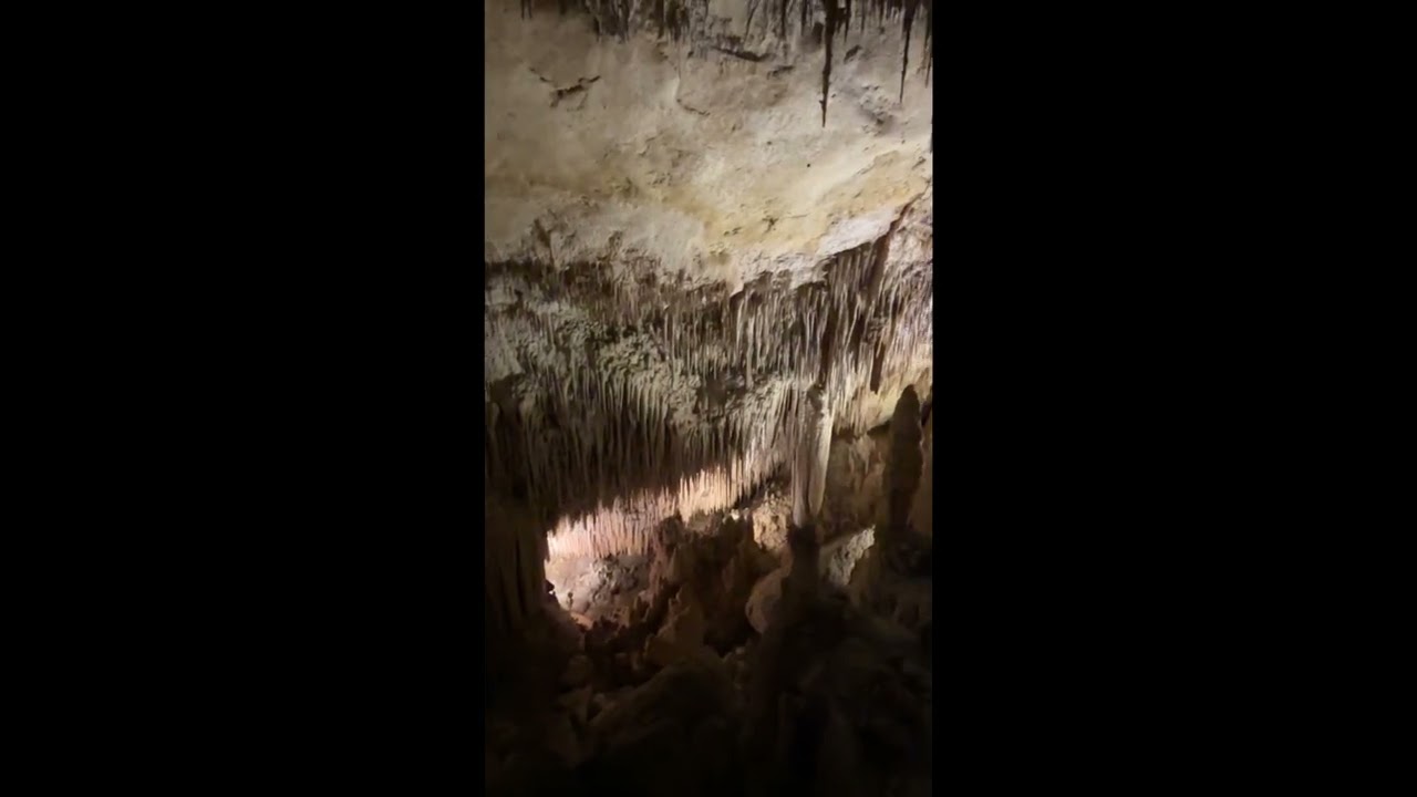 Cuevas del Drach Palma 2025