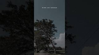 STORY WA LIRIK LAGU RASAH BALI || WINGI AKU TENANAN SAYANG KARO KOWE‼️#short #shorts #storywa #fyp