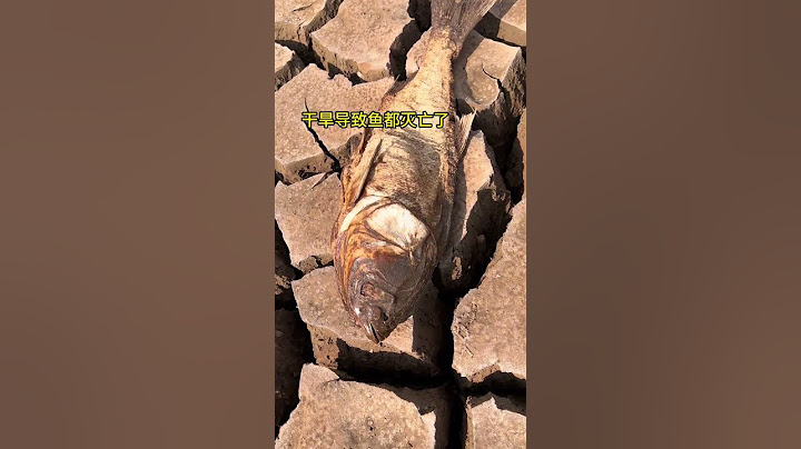 广东某水库严重干旱导致鱼都灭绝了，请大家一定要节约用水！#水库#水#水源#广东