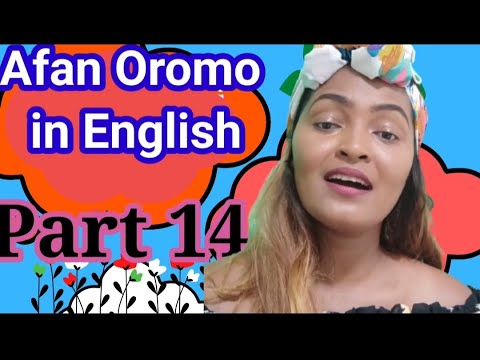 Learn Afan Oromo In English Part 14 Afaan Oromoo Oromo Barumsa Afaan Oromoo Speak English