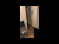 Dog Opening Bathroom Door by Herself, Looks at Owner Then Closes It