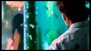 Miss You  -  Westlife