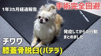 膝蓋骨脱臼 Youtube 膝蓋骨脱臼 Youtube