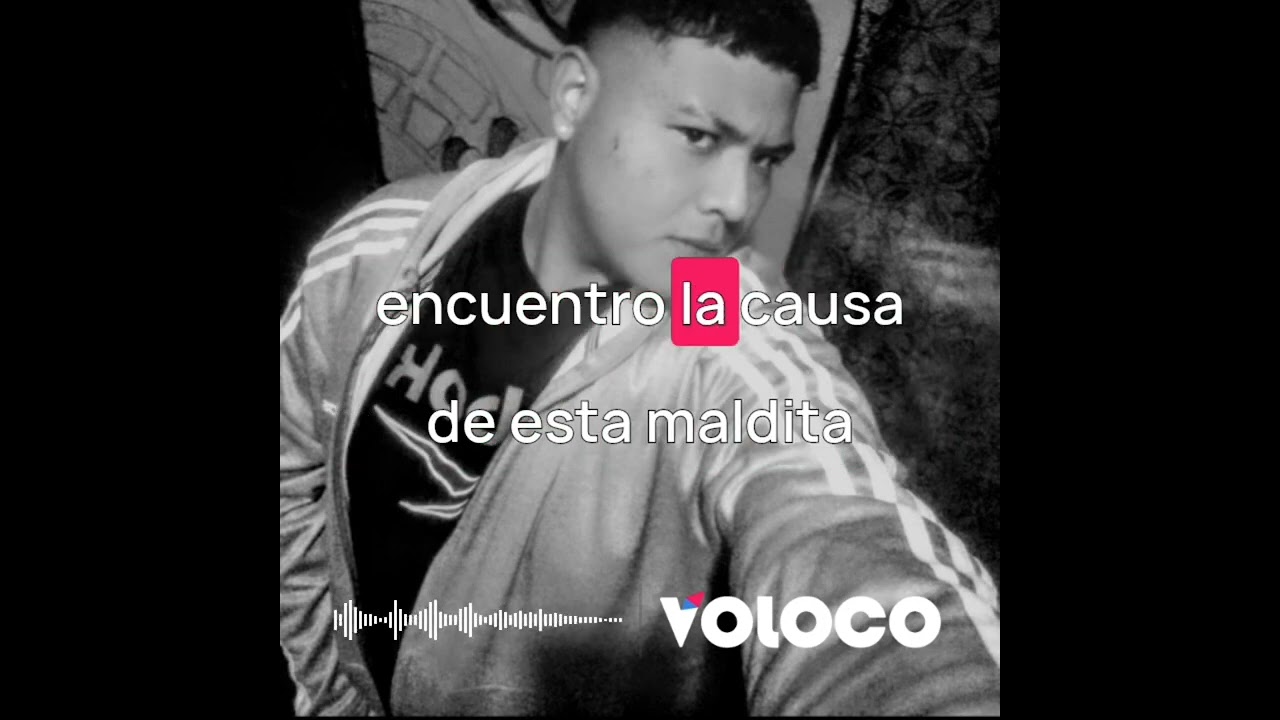 Roto - SHYNO ONE 2026