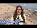 Dead whale washes ashore in Montauk