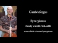 Carrickfergus for solo cello - Synergismus