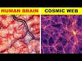           connection between our brain and the universe 