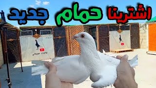 شوف شو جبنا حمام جديد 🤔🔥