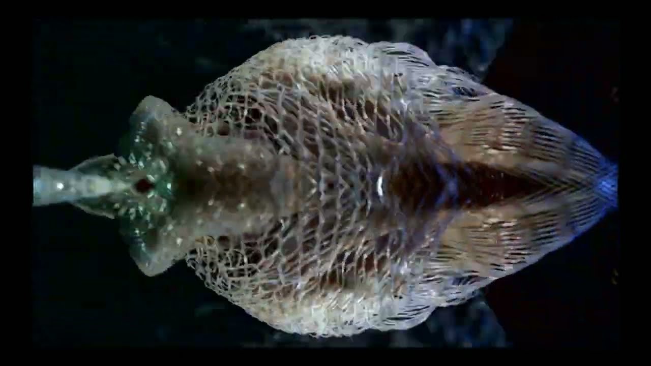OCEAN - official video adlı videoyu YouTube'da izle OCEAN - official video adlı videoyu YouTube'da izle