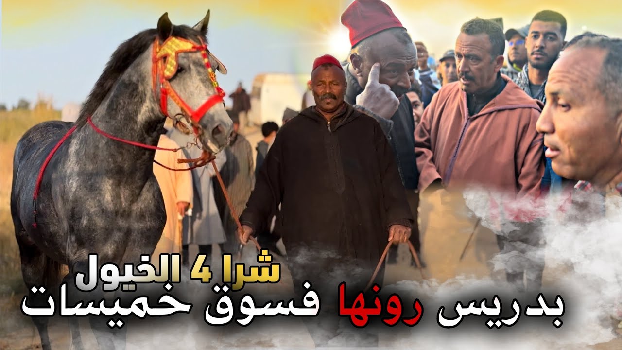 بادريس عندو الجودة اليوم في سوق الخميسات 4 الخيال زين ولطاي رونها تبارك الله