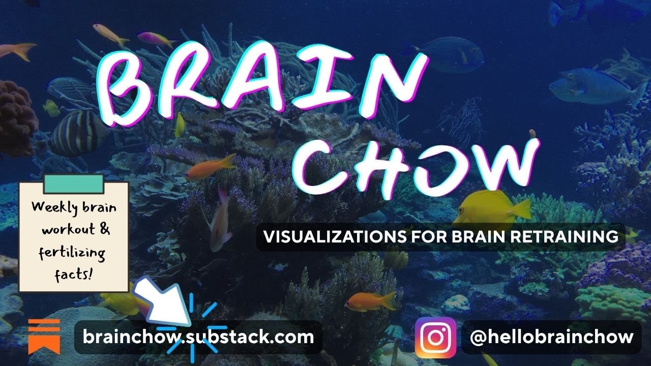 BrainChow - Snorkelling - Brain Retraining Visualization