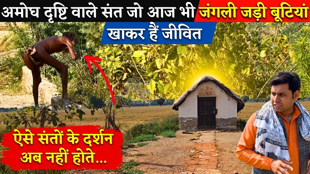 अमोघ दृष्टि वाले संत जो आज भी जंगली जड़ी बूटियों पर हैं जीवित.. @BrajVihar #santdarshan  #barsana