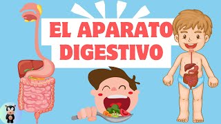 ¡Vamos a aprende el sistema digestivo para niños!