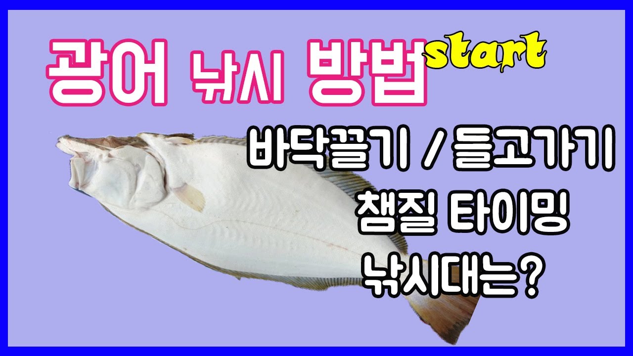 광어 다운샷의 챔질 타이밍 바닥끌기와 들고가기등 낚시방법과 적합한 낚시대는.