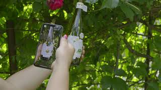 Ar Experience Volavolé Cococciola Terre Di Chieti Igp